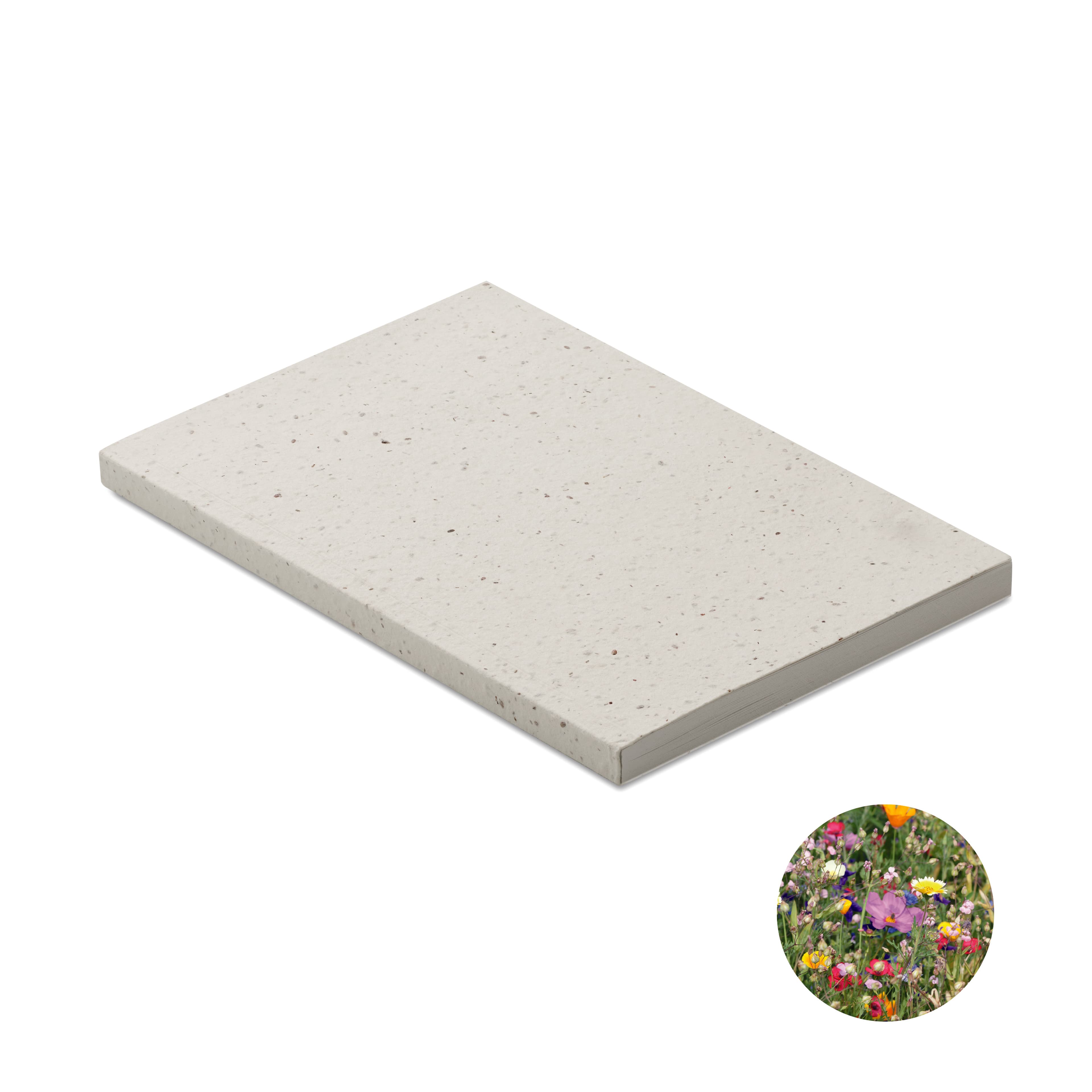 Cuaderno SEED BOOK