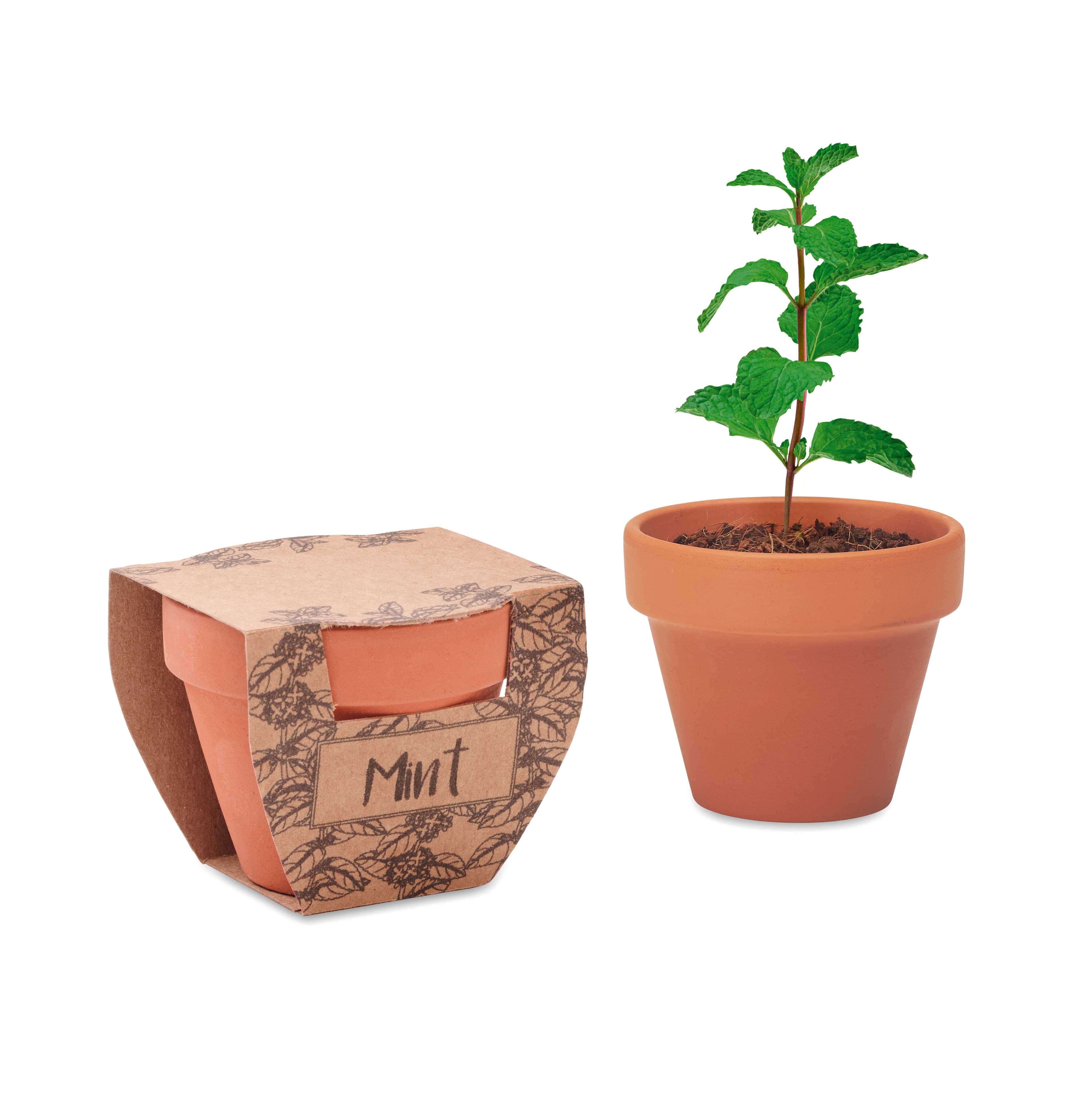 Accesorio deportivo MINT POT